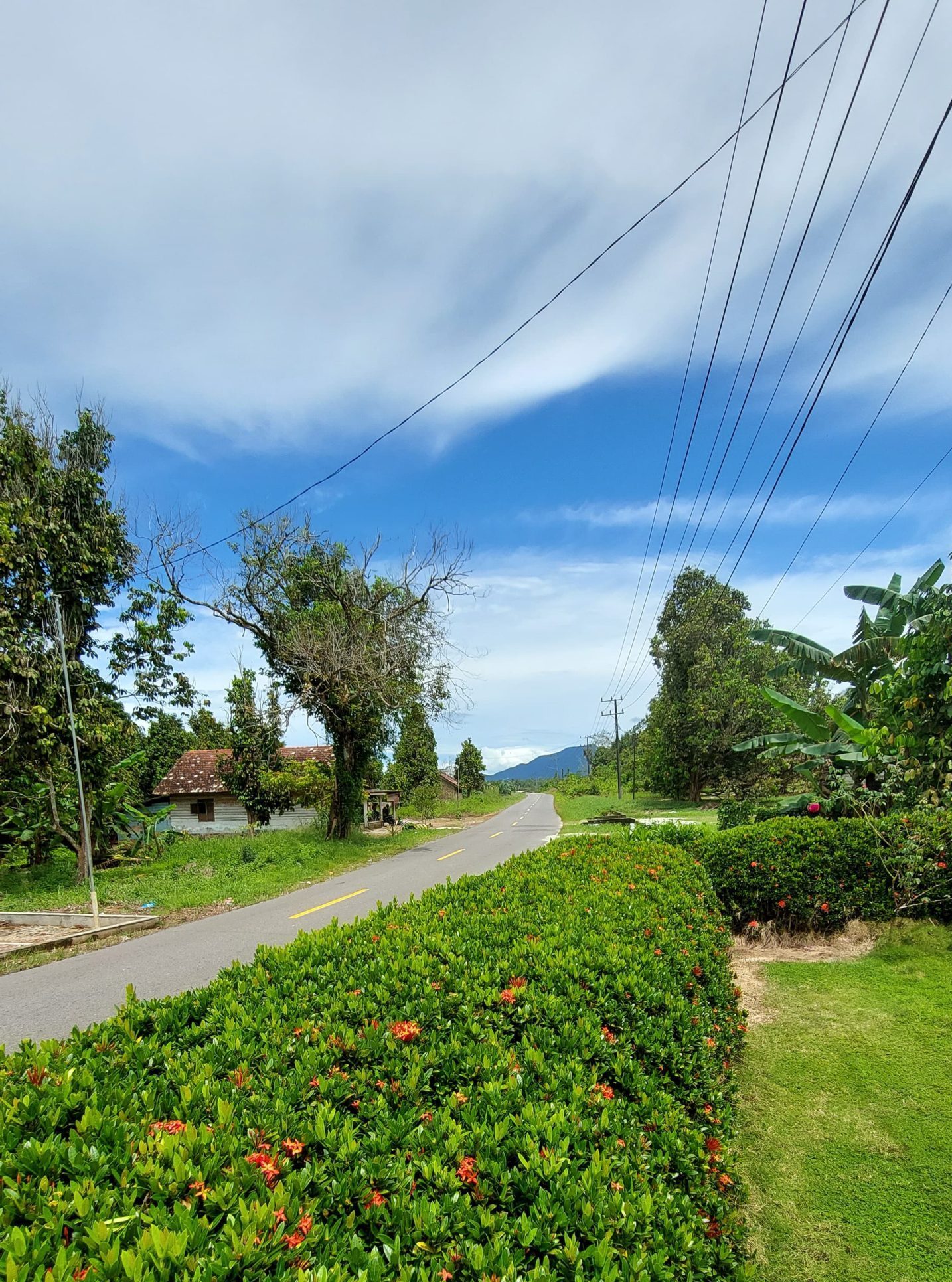 Bus Kayu (Bus Pownis)