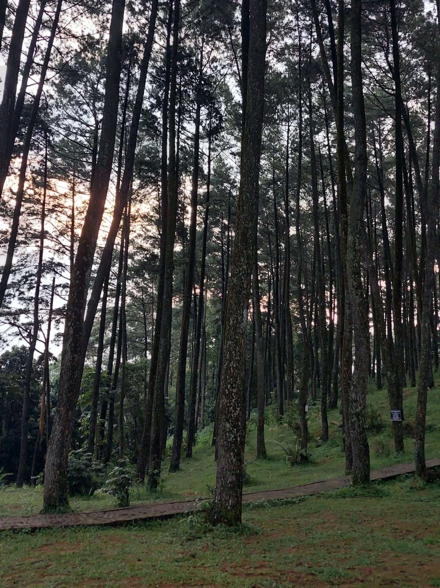 Bekerja setelah Libur Panjang