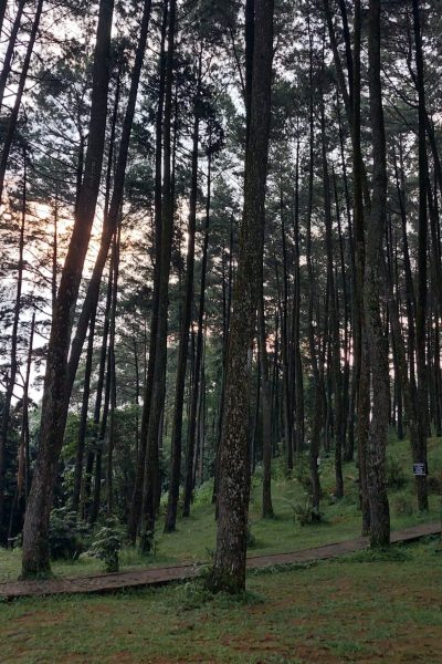 Bekerja setelah Libur Panjang