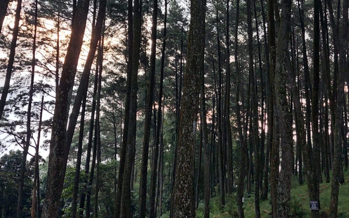 Bekerja setelah Libur Panjang