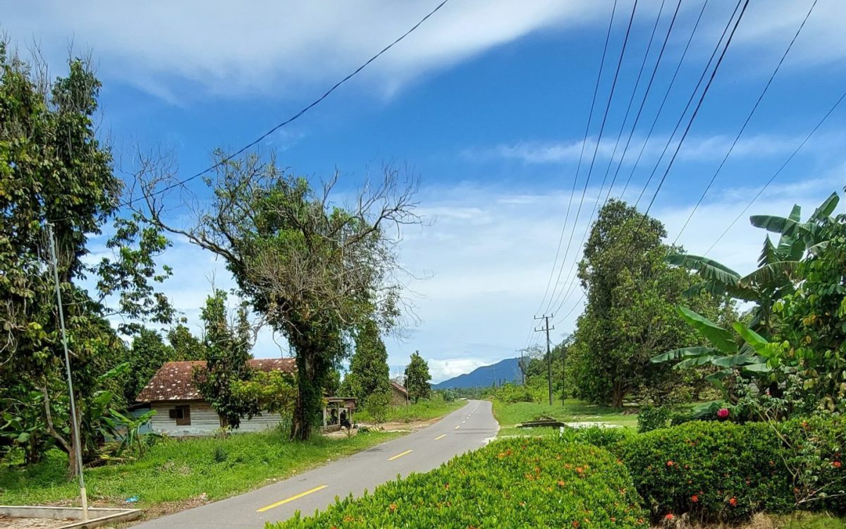 Bus Kayu (Bus Pownis)